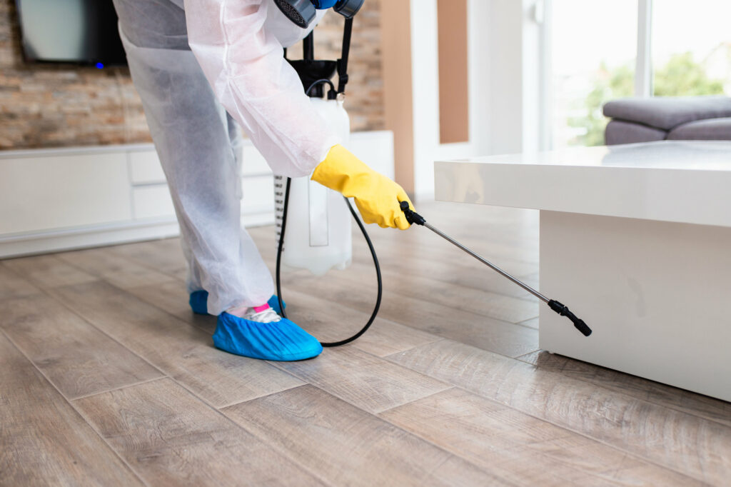 Exterminator in work spraying pesticide with sprayer