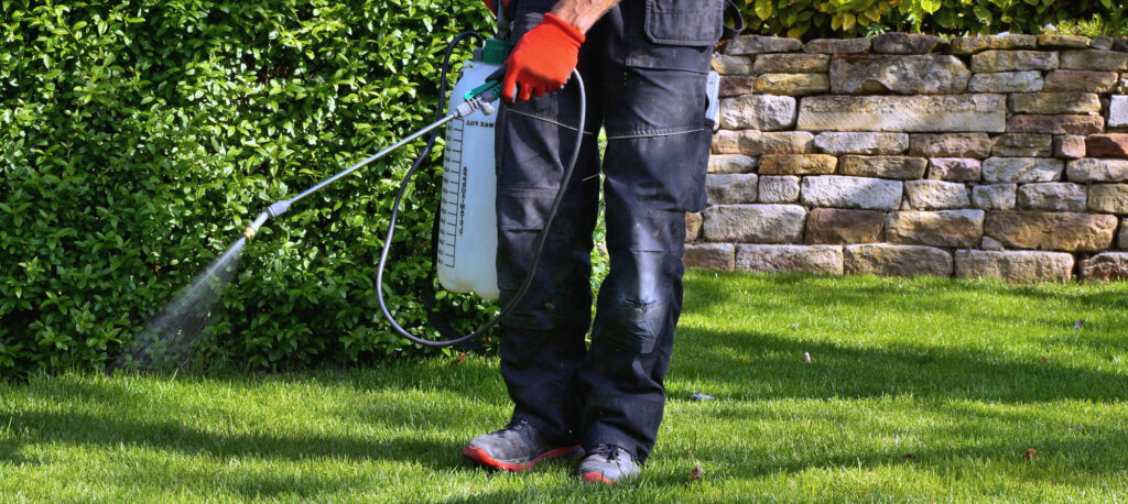 spraying pesticide with portable sprayer