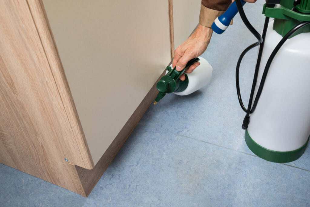 Spraying pesticides on cabinet